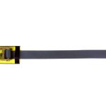 2" MARINE TIE-DOWN WITH RATCHET