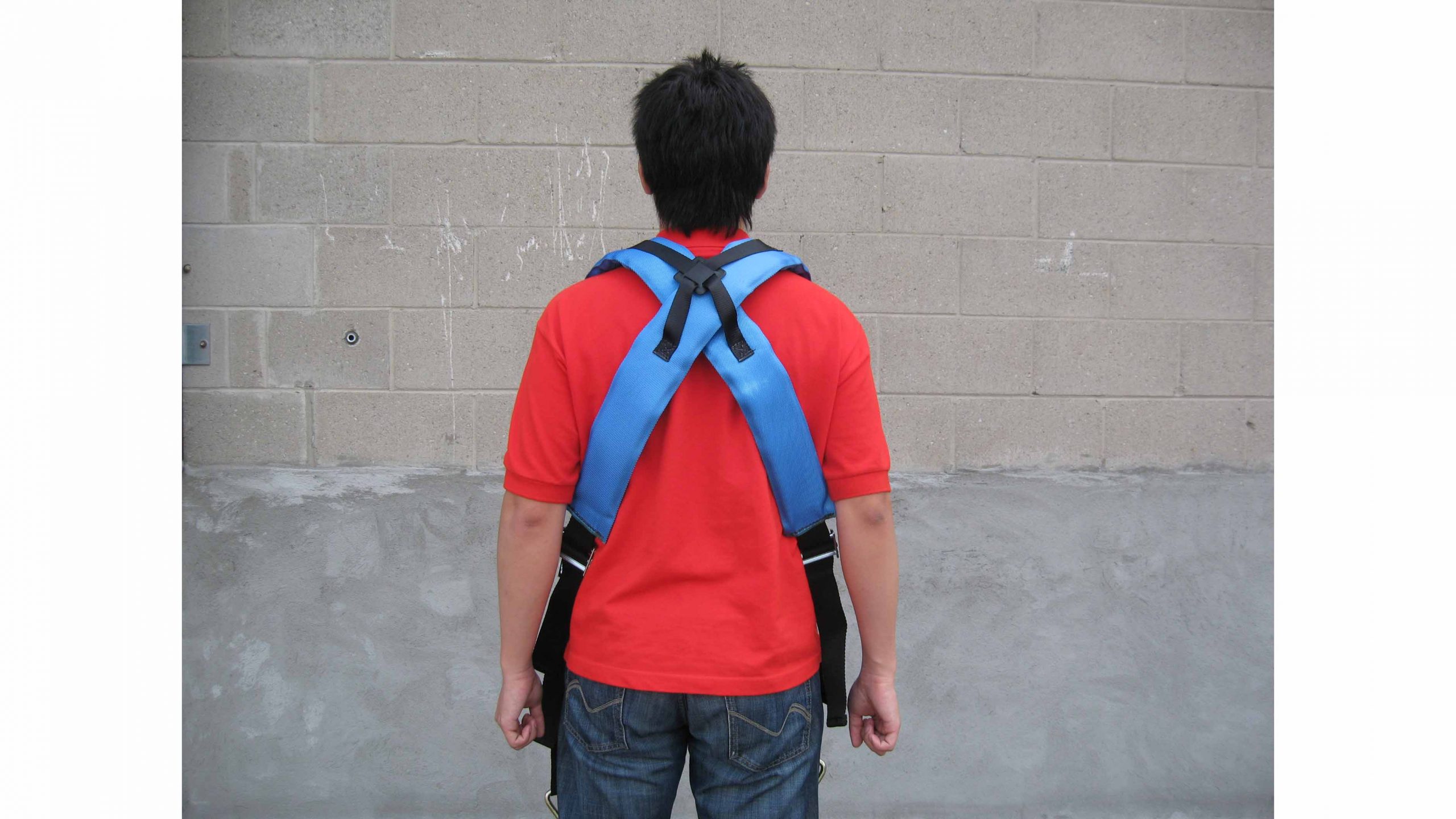 Shoulder Harness - Image 3