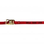 2" RATCHET STRAP WITH 1/4" WIRE HOOK