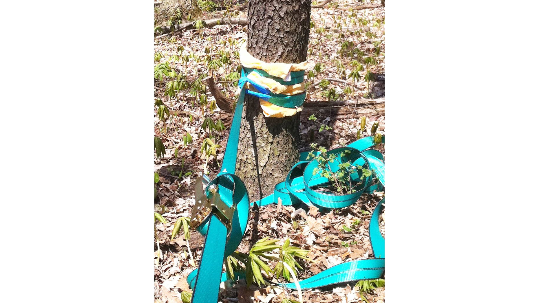 Slackline Kit - Image 4