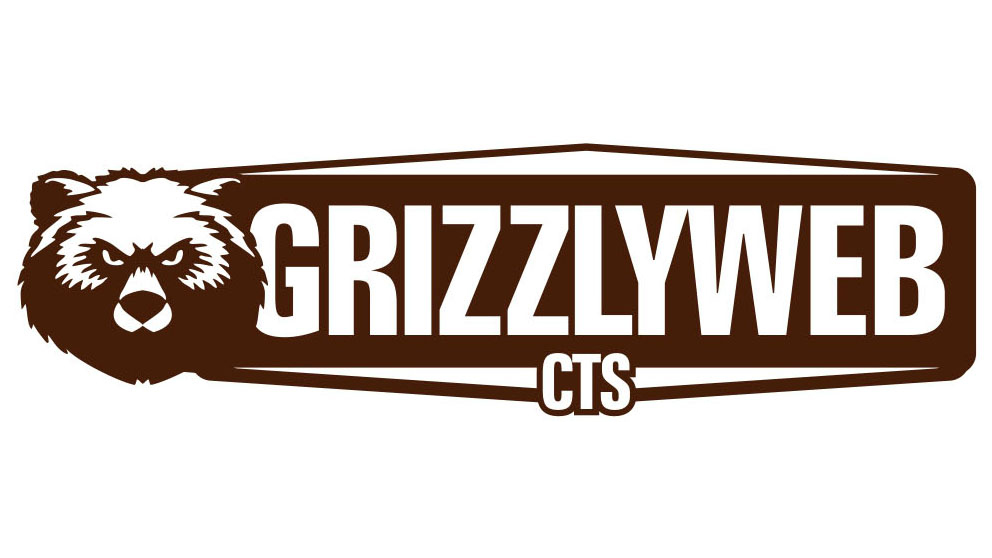 RATCHET STRAP WITH WIRE HOOK - Image 2